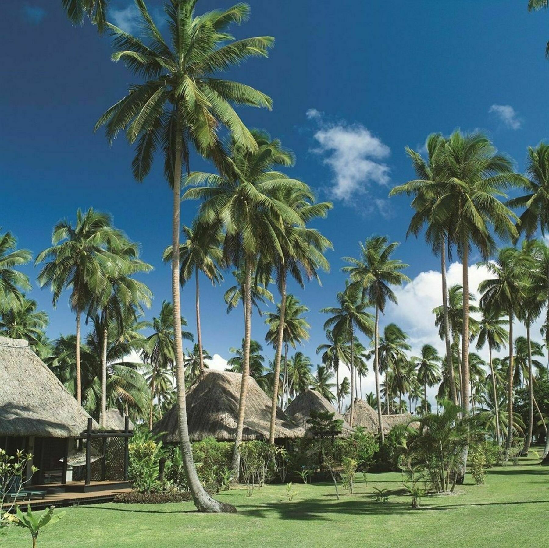Jean-Michel Cousteau Resort Fiji Savusavu Exterior foto