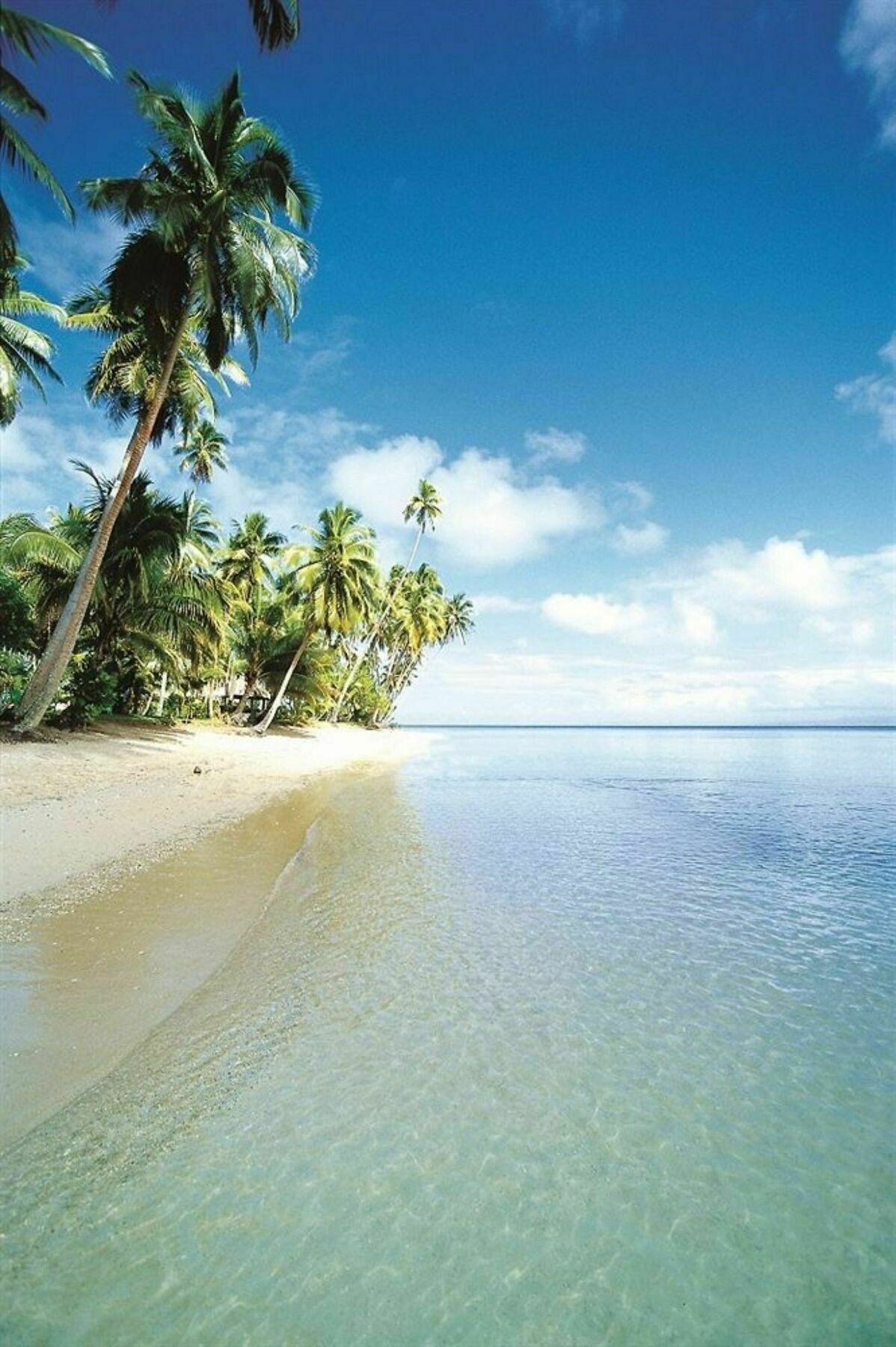 Jean-Michel Cousteau Resort Fiji Savusavu Exterior foto